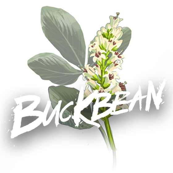 Buckbean